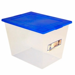 CAJA ORGANIZADOR ORGANIZADORES CON TAPA PLASTICA