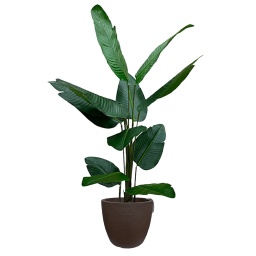 MACETA CONICA TEXTURADA SIMIL FIBROCEMENTO + PLANTA ARTIFCIAL BANANO