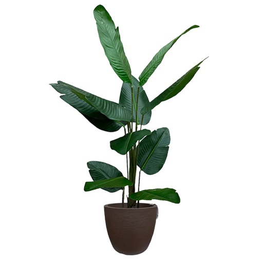 MACETA CONICA TEXTURADA SIMIL FIBROCEMENTO + PLANTA ARTIFCIAL BANANO